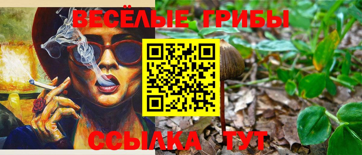 Псилоцибиновые грибы прущие грибы Бугульма